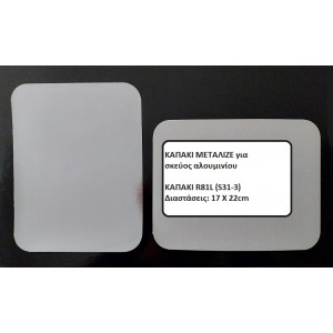 ΚΑΠΑΚΙ ΜΕΤΑΛΙΖΕ R81L/S31-3 ΓΙΑ ΠΑΡΑΛΛΗΛΟΓΡΑΜΜΟ ΣΚΕΥΟΣ ΑΛΟΥΜΙΝΙΟΥ
